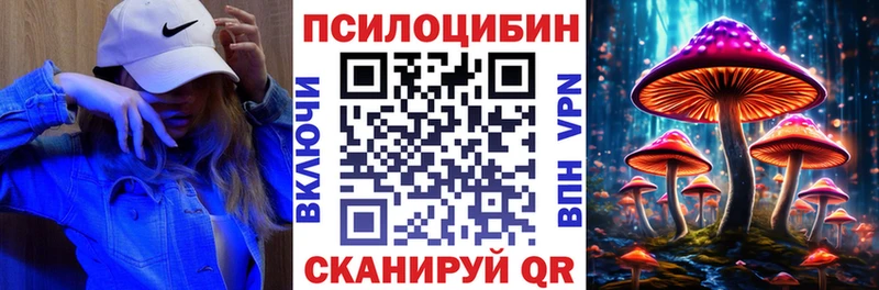 Псилоцибиновые грибы Psilocybe  Купить закладки  Баймак 