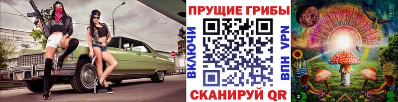 Псилоцибиновые грибы Psilocybe Баймак